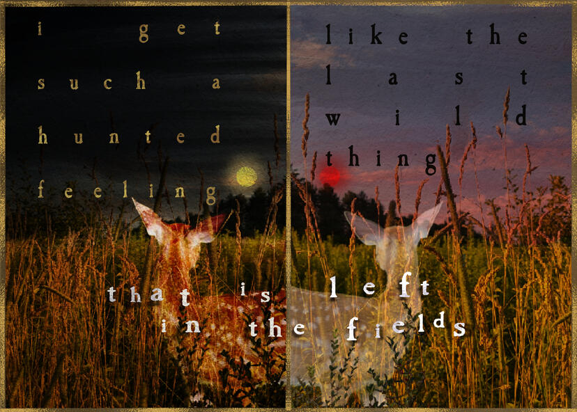 left in the fields (available w/ or w/o text)