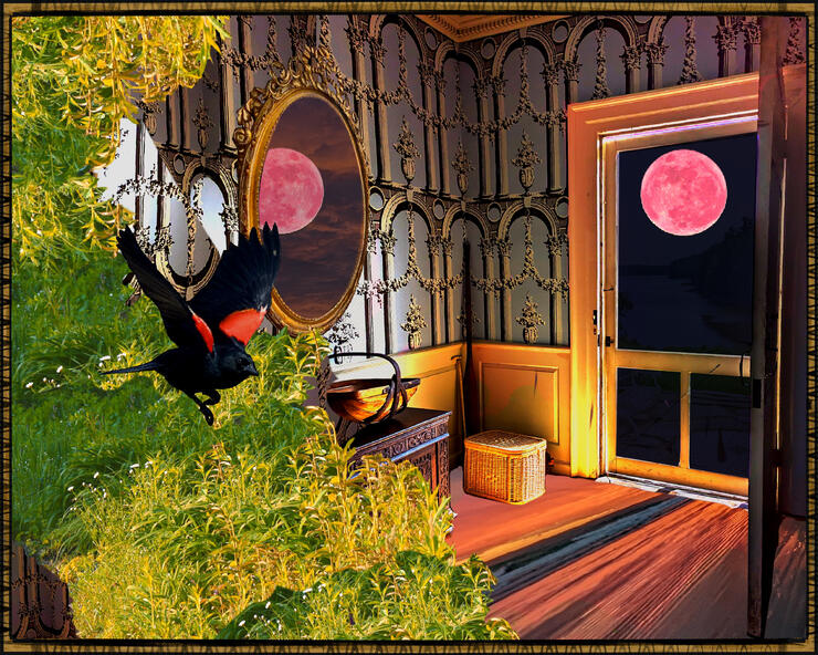 pink moon
